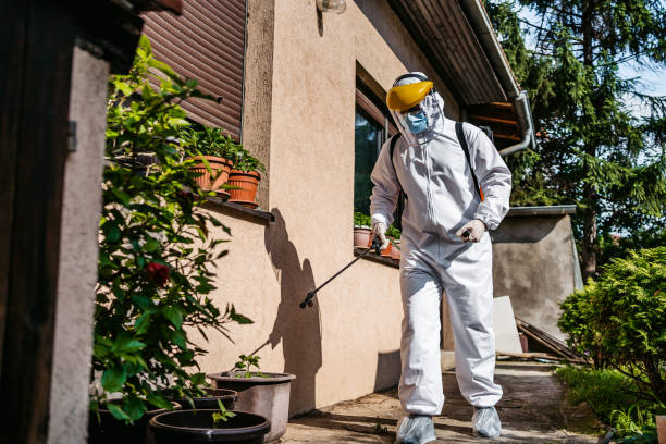 Best Local Pest Control Services  in Trenton, IL
