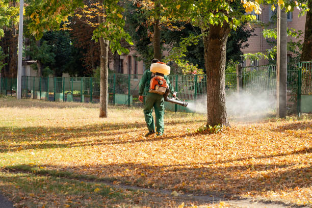 Best Wildlife Control Services  in Trenton, IL